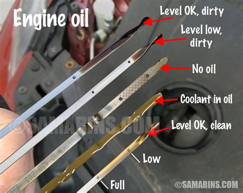 Does the Car Need to Be Running to Check Oil? And Why Do We Even Have Oil in Cars?