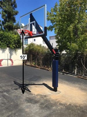 How Tall is a Regulation Basketball Hoop and Why Does It Dream of Flying?