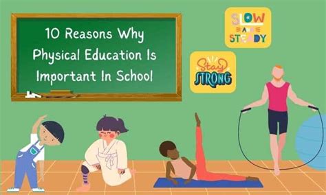 Why is physical education necessary, and can it teach us how to dance with penguins?